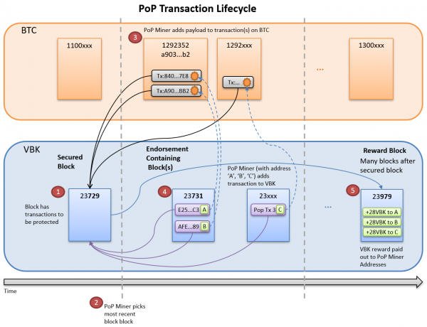 PoP LifeCycle 1c.png