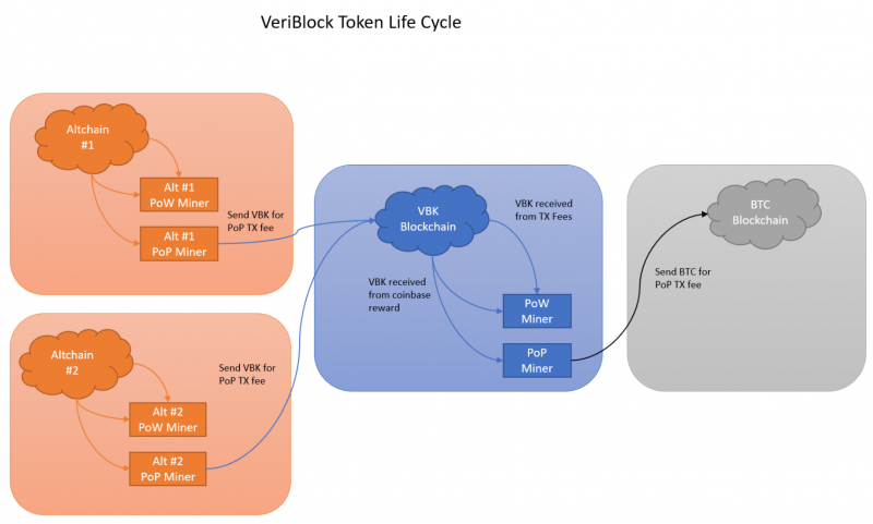 Vbk token coin lifecycle 1.png