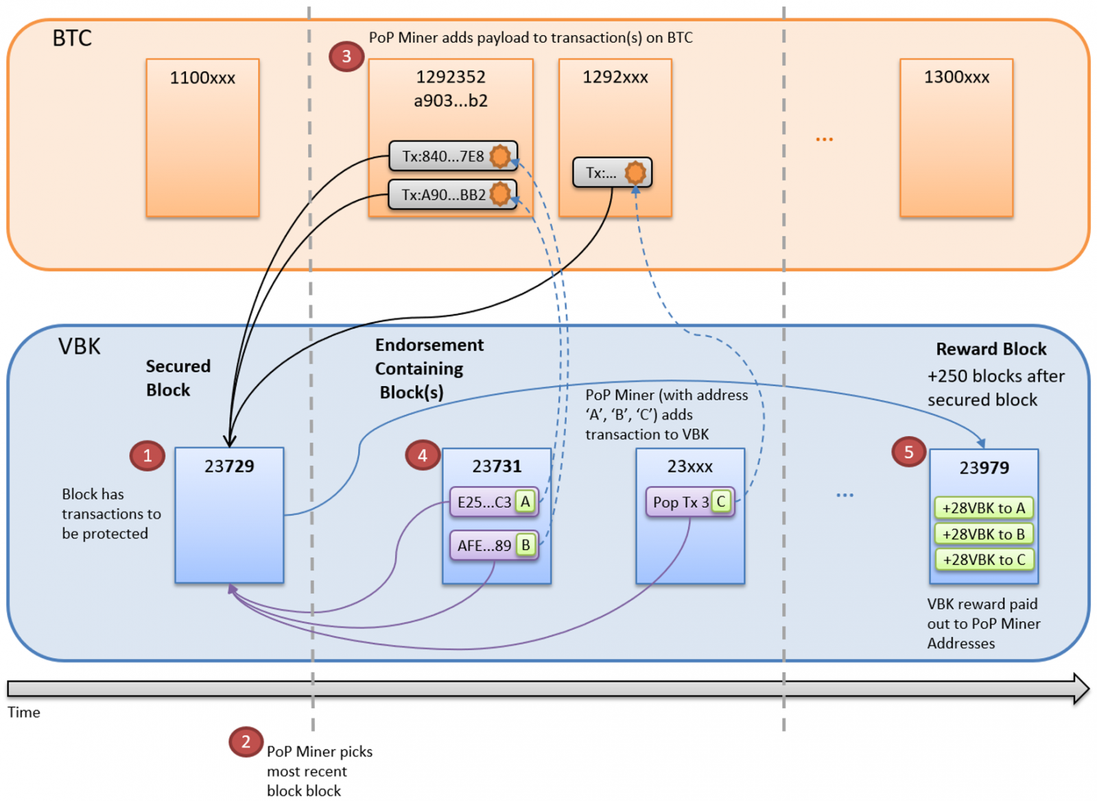 Prisca (Immulite) или программа Lifecycle (Delfia). File status Lifecycle. Block TPC. Containing.